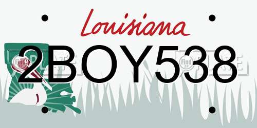 2BOY538 Louisiana License Plate