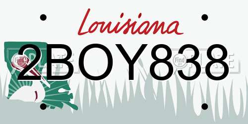 2BOY838 Louisiana License Plate