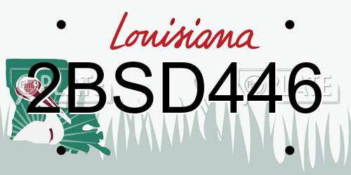 2BSD446 Louisiana License Plate