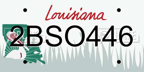 2BSO446 Louisiana License Plate