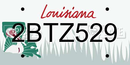 2BTZ529 Louisiana License Plate