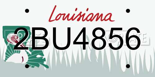 2BU4856 Louisiana License Plate