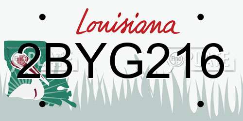 2BYG216 Louisiana License Plate