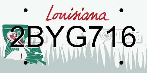 2BYG716 Louisiana License Plate