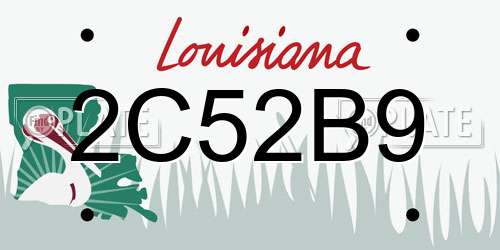 2C52B9 Louisiana License Plate