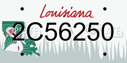 2C56250 Louisiana License Plate