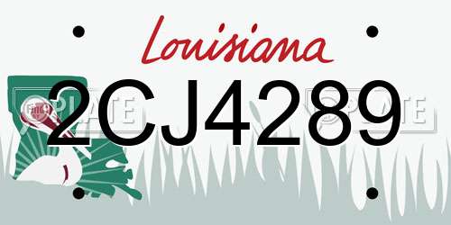 2CJ4289 Louisiana License Plate