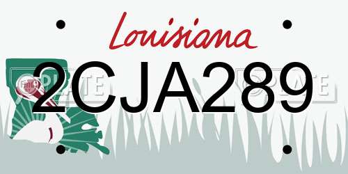 2CJA289 Louisiana License Plate