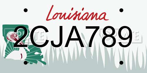2CJA789 Louisiana License Plate