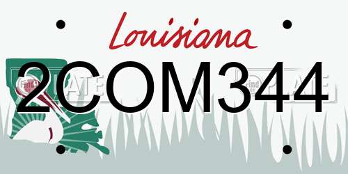 2COM344 Louisiana License Plate