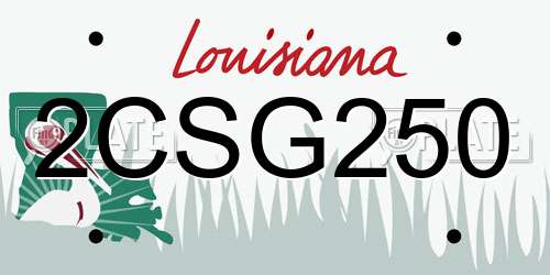 2CSG250 Louisiana License Plate