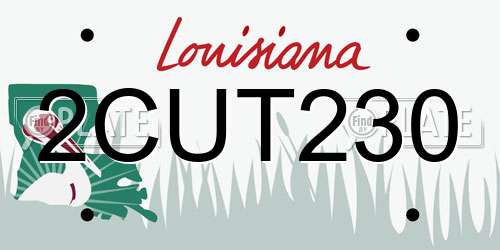 2CUT230 Louisiana License Plate