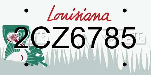 2CZ6785 Louisiana License Plate