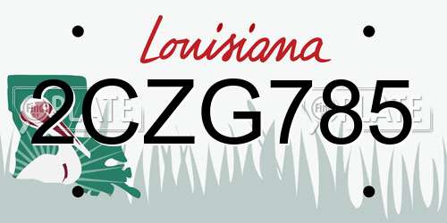 2CZG785 Louisiana License Plate