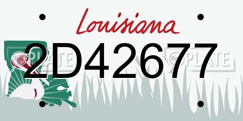 2D42677 Louisiana License Plate