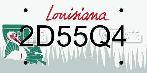 2D55Q4 Louisiana License Plate