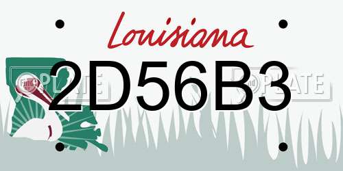 2D56B3 Louisiana License Plate
