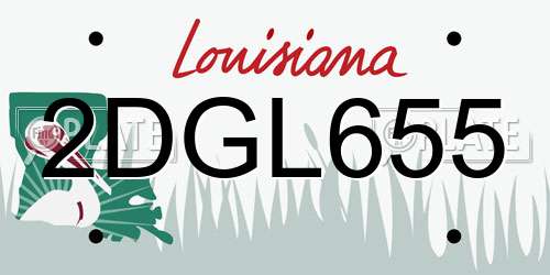 2DGL655 Louisiana License Plate