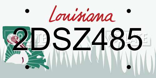 2DSZ485 Louisiana License Plate