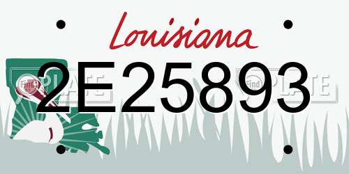 2E25893 Louisiana License Plate