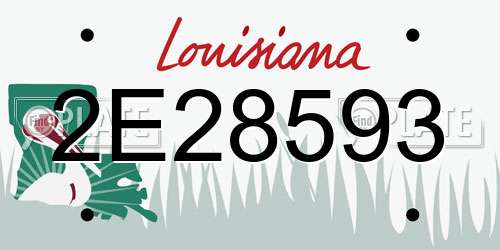 2E28593 Louisiana License Plate