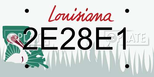 2E28E1 Louisiana License Plate