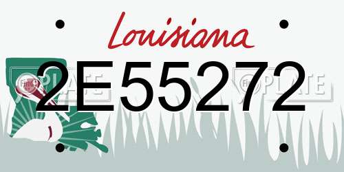 2E55272 Louisiana License Plate