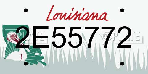 2E55772 Louisiana License Plate