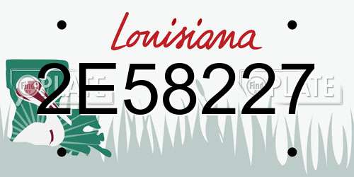 2E58227 Louisiana License Plate