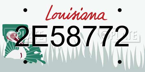 2E58772 Louisiana License Plate