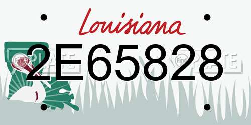 2E65828 Louisiana License Plate