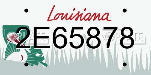 2E65878 Louisiana License Plate