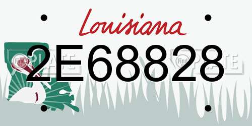 2E68828 Louisiana License Plate