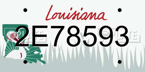 2E78593 Louisiana License Plate