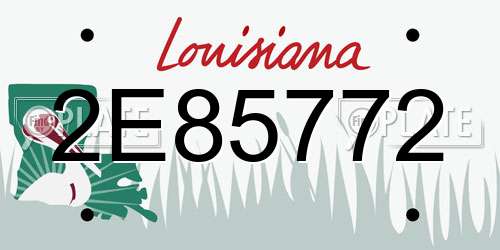 2E85772 Louisiana License Plate