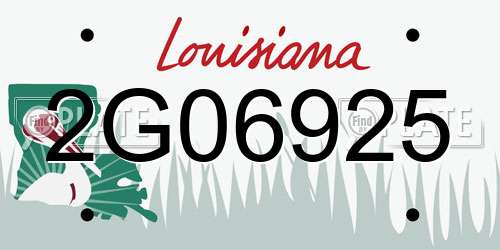 2G06925 Louisiana License Plate