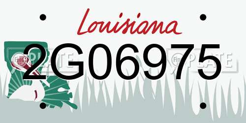 2G06975 Louisiana License Plate