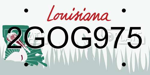 2GOG975 Louisiana License Plate
