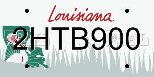 2HTB900 Louisiana License Plate