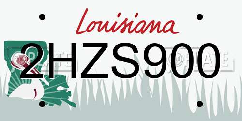 2HZS900 Louisiana License Plate