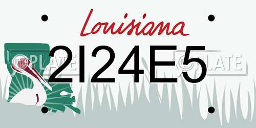 2I24E5 Louisiana License Plate