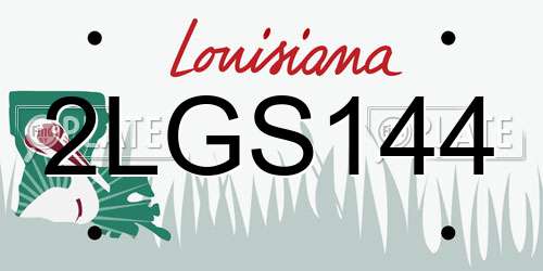 2LGS144 Louisiana License Plate