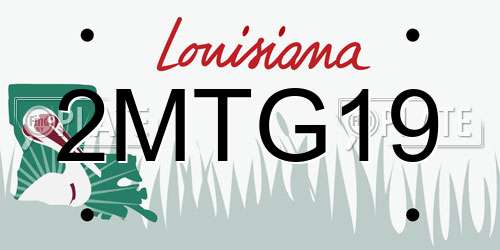 2MTG19 Louisiana License Plate