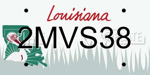 2MVS38 Louisiana License Plate
