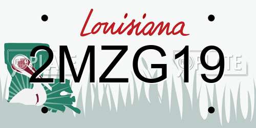 2MZG19 Louisiana License Plate