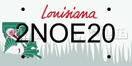 2NOE20 Louisiana License Plate