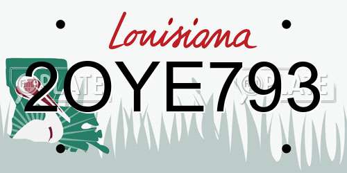 2OYE793 Louisiana License Plate