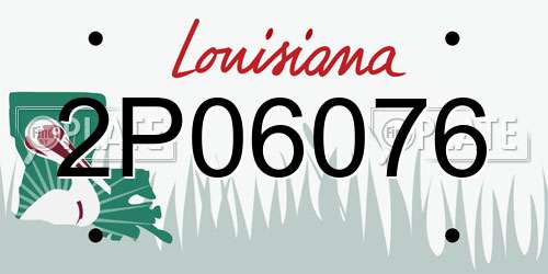 2P06076 Louisiana License Plate