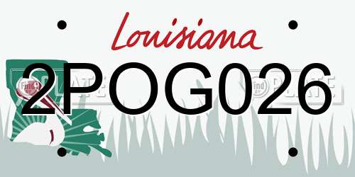 2POG026 Louisiana License Plate