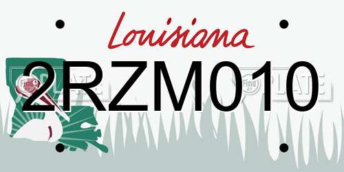 2RZM010 Louisiana License Plate